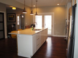 Kitchen Renovation